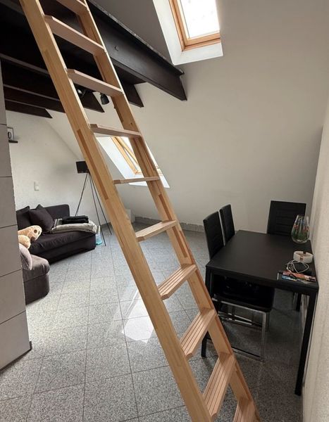 Mieter/in ab sofort gesucht!